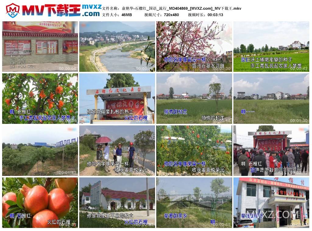 袁艳华-石榴红_国语_流行_MD404869